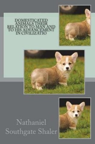 Cover of Domesticated Animals Their Relation to Man and to his Advancement in Civilizatio