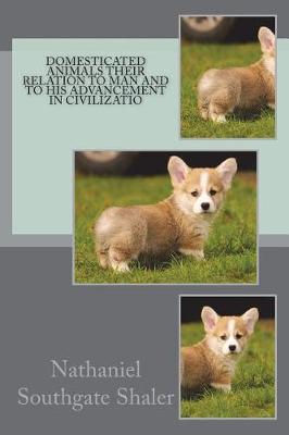 Book cover for Domesticated Animals Their Relation to Man and to his Advancement in Civilizatio