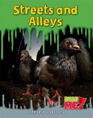 Book cover for Streets and Alleys s