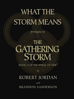 Book cover for What the Storm Means: Prologue to the Gathering Storm