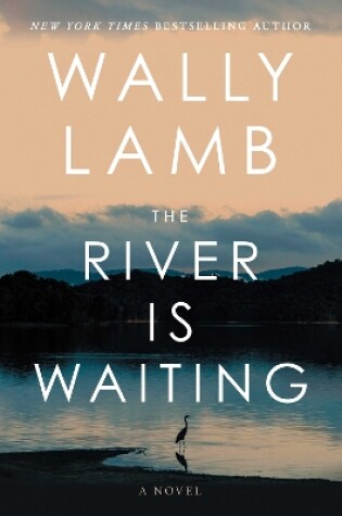 Cover of The River Is Waiting