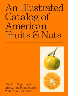 Book cover for An Illustrated Catalog of American Fruits & Nuts