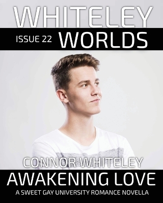 Cover of Issue 22