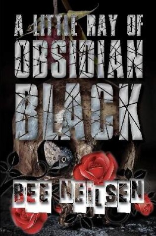 Cover of A Little Ray of Obsidian Black
