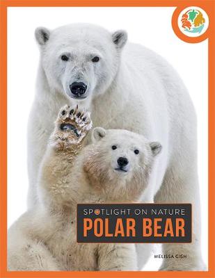 Book cover for Polar Bear