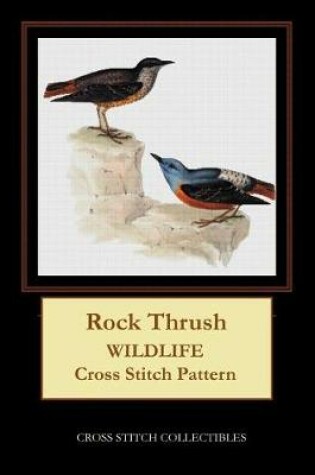 Cover of Rock Thrush