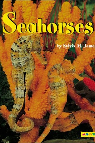 Cover of Seahorses