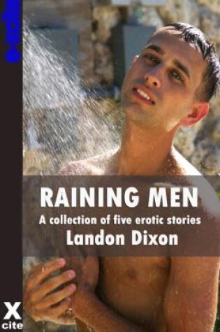 Cover of Raining Men