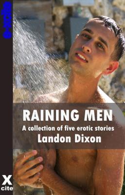 Book cover for Raining Men