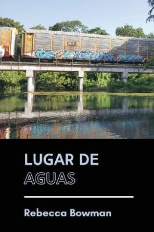 Cover of Lugar de aguas