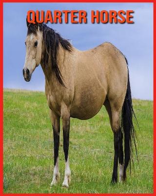 Book cover for Quarter Horse