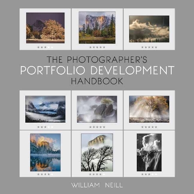 Book cover for The Photographer's Portfolio Development Workshop