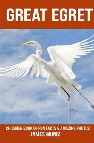Cover of Great Egret