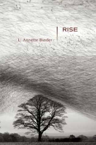 Cover of Rise