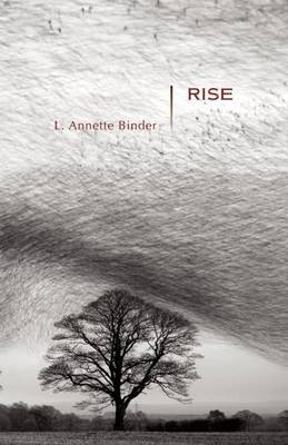 Cover of Rise