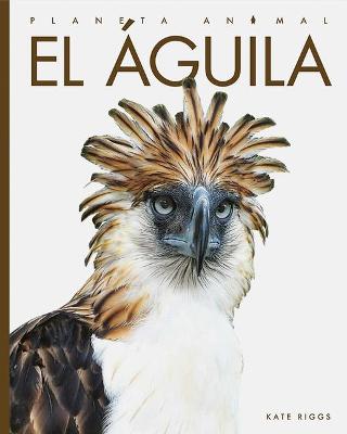 Cover of El Águila