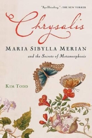 Cover of Chrysalis