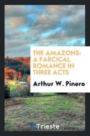 Cover of The Amazons