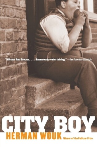 Cover of City Boy