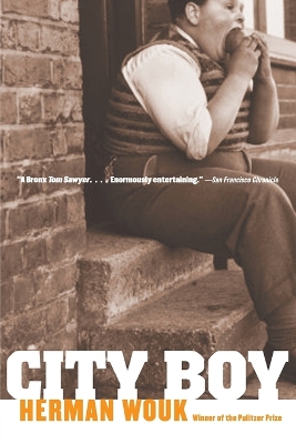 Book cover for City Boy