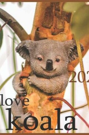 Cover of Ilove koala