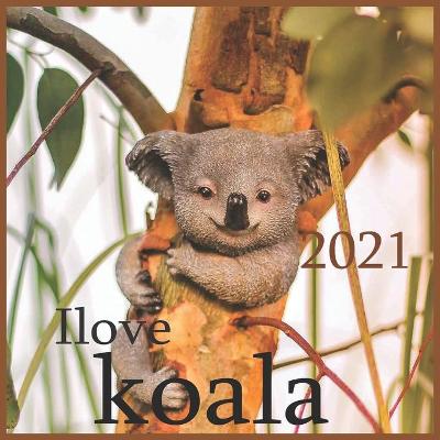 Book cover for Ilove koala