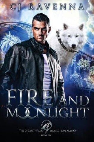 Cover of Fire and Moonlight