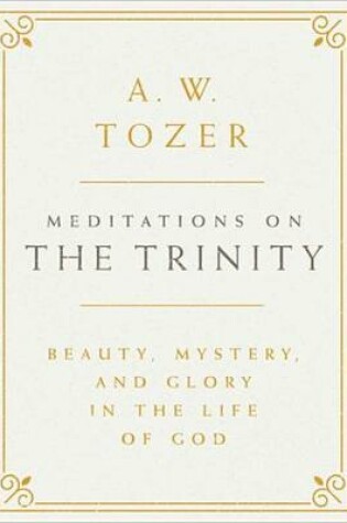 Cover of Meditations on the Trinity