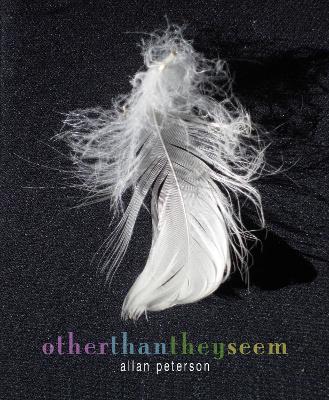 Book cover for Other Than They Seem