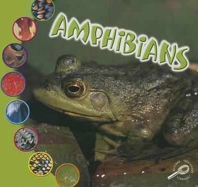 Cover of Amphibians