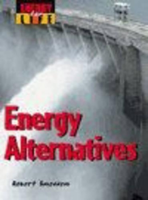Book cover for Energy for Life: Alternatives Paper