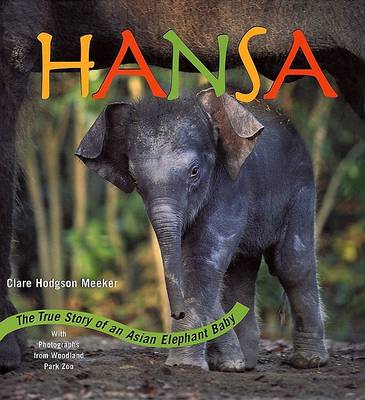 Book cover for Hansa