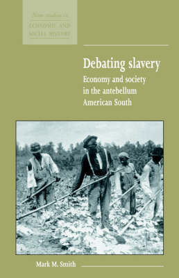 Book cover for Debating Slavery
