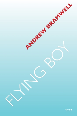 Book cover for Flying Boy