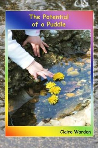 Cover of The Potential of a Puddle