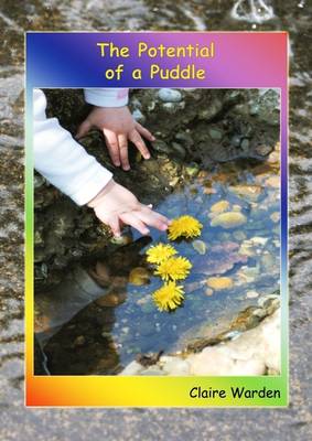 Book cover for The Potential of a Puddle