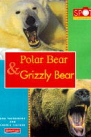 Cover of Spot the Difference: Polar Bear and Grizzly Bear       (Paperback)