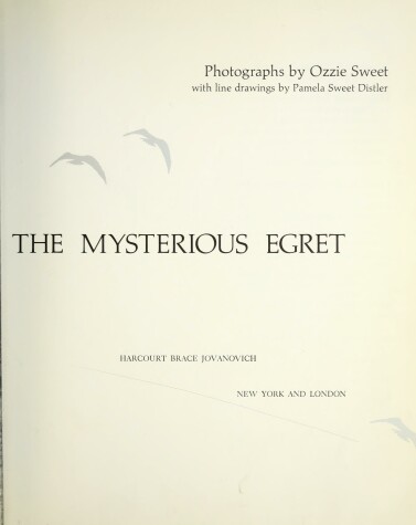 Book cover for Discovering the Mysterious Egret