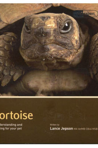 Cover of Tortoise - Pet Expert