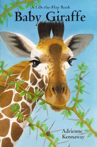 Cover of Baby Giraffe