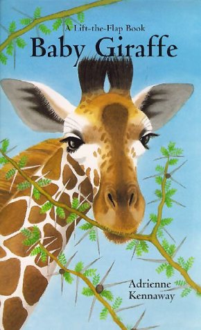 Book cover for Baby Giraffe