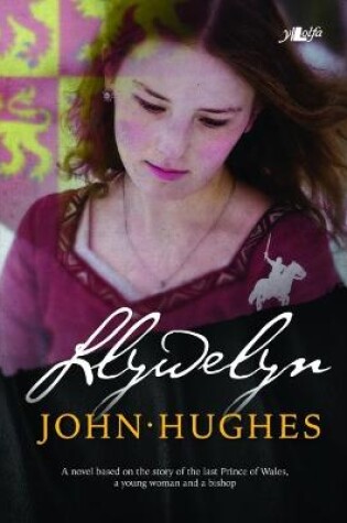 Cover of Llywelyn