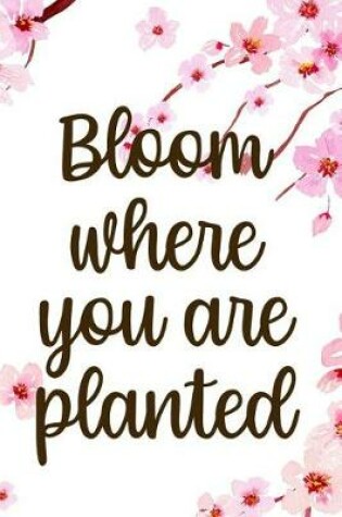 Cover of Bloom Where You Are Planted