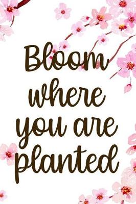 Book cover for Bloom Where You Are Planted