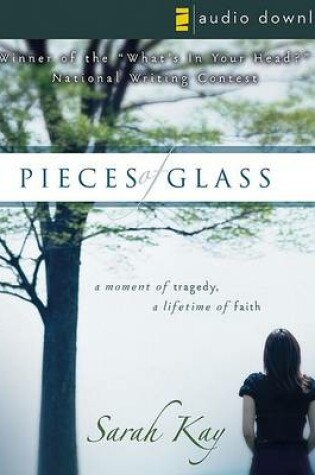 Cover of Pieces of Glass