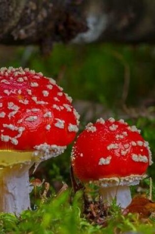 Cover of Fairy Tale Mushrooms Notebook