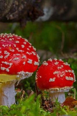 Book cover for Fairy Tale Mushrooms Notebook