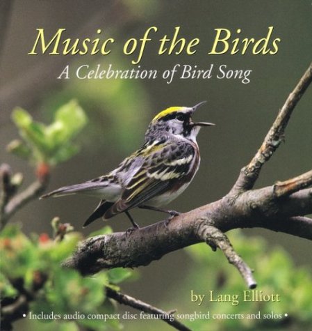 Book cover for Music of the Birds