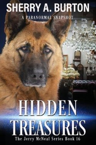 Cover of Hidden Treasures