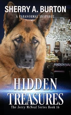 Book cover for Hidden Treasures